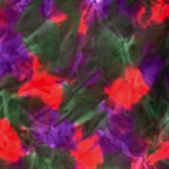 RED/PURPLE
