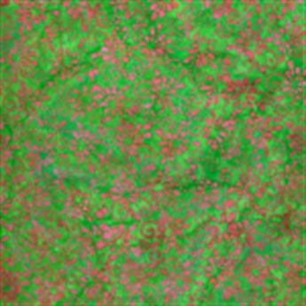 COL 2 - GREEN/PINK