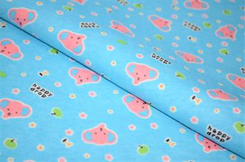 FG-BR-0284