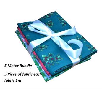 FG-BUNDLE-0123