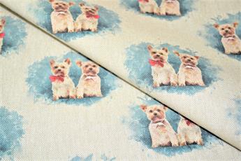 Small Dogs