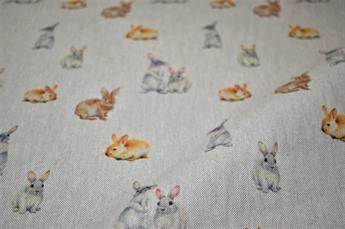 Bunny Rabbits
