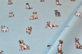 Shabby Dogs