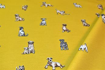 OCHRE
