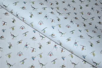 FG-CO-01656