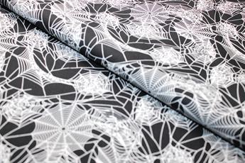 Spider Webs