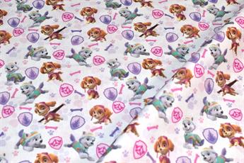 Paw Patrol Girls Badges