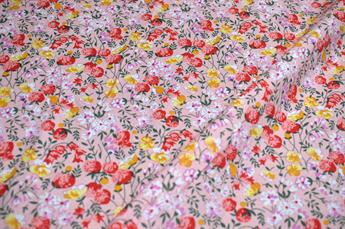 FG-CO-LAWN-009