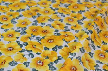 FG-CO-LAWN-027