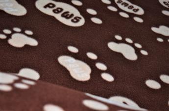 FG-FL-018