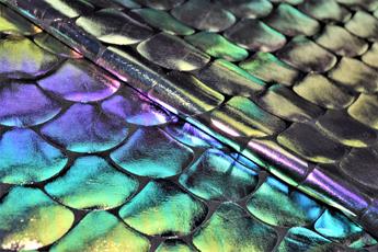 Fish Scale Foil