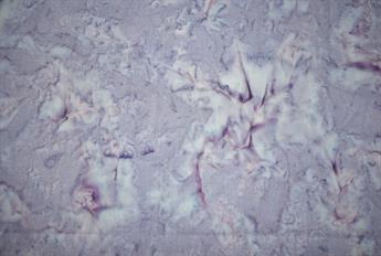 Batik