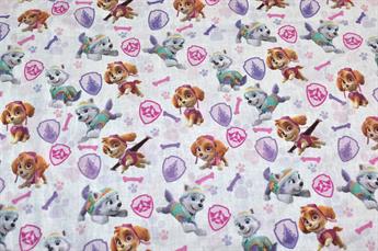 FG-FQS-0173