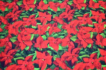 Single Fat Quarter