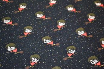 FG-FQS-0209