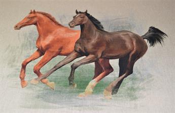 Horses Panels