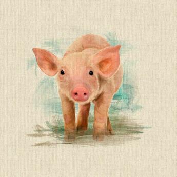 Piglet Panel