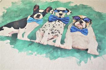 Cool Dogs
