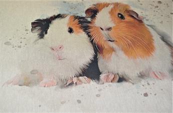 Guinea Pig