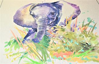 Elephant