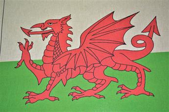 Welsh Dragon