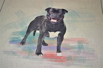 Staffordshire Bull Terrier