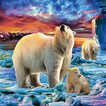 Polar Bear and Cubs