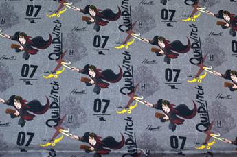 FG-FQS-0369
