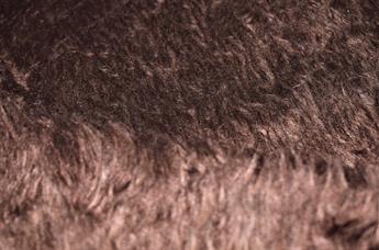 FG-FUR-001-1