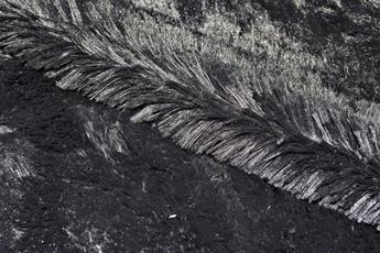 Luxury Fur