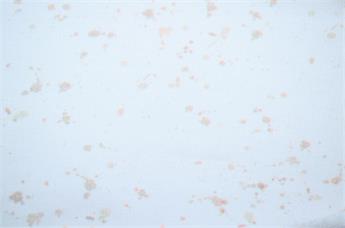 FG-JER-0121
