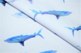 FG-JER-0126