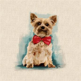 Novelty Yorkshire Terrier