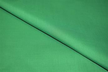 PARROT GREEN