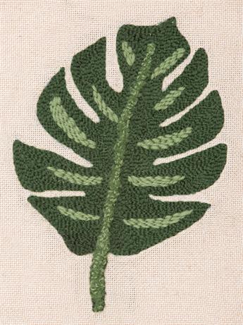 Monstera