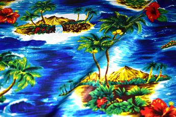 FG-SAT-026