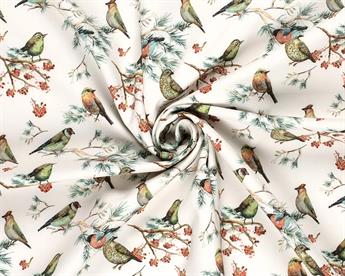 Softshell Digital Birds