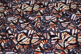Butterfly Prin