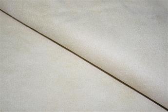 FG-SUE-005