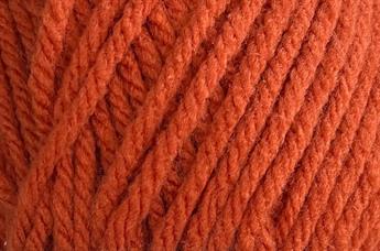 Pumpkin- 872
