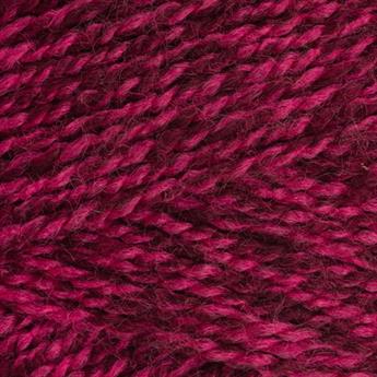 Carnation- 1204