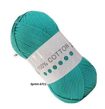 SPRING-6711
