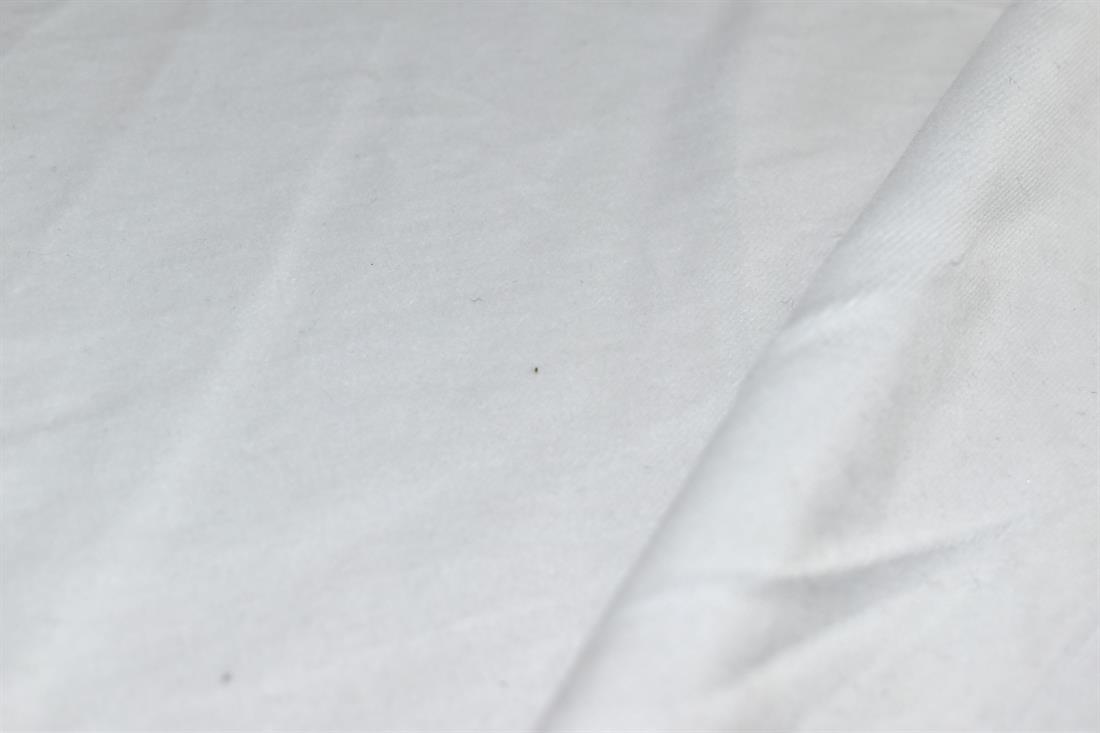 Ivory Corduroy Plain Fabric