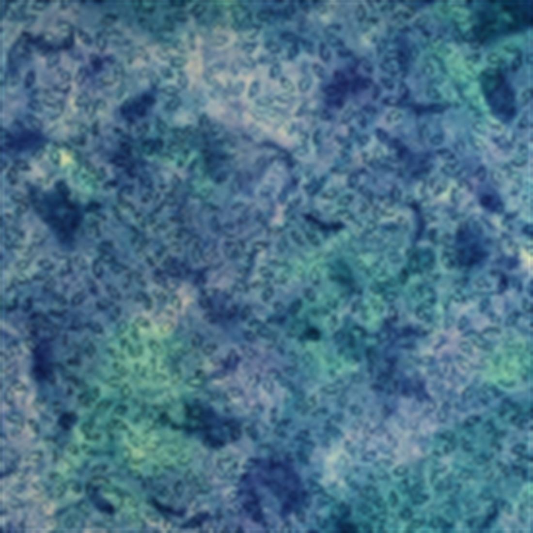 Printed Batik