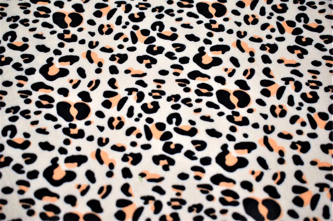 Cream Brushed Jersey Fabric