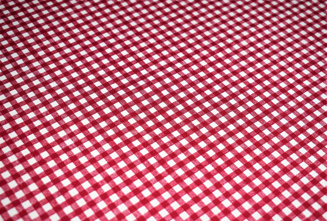 Red Gingham Print Canvas Fabric