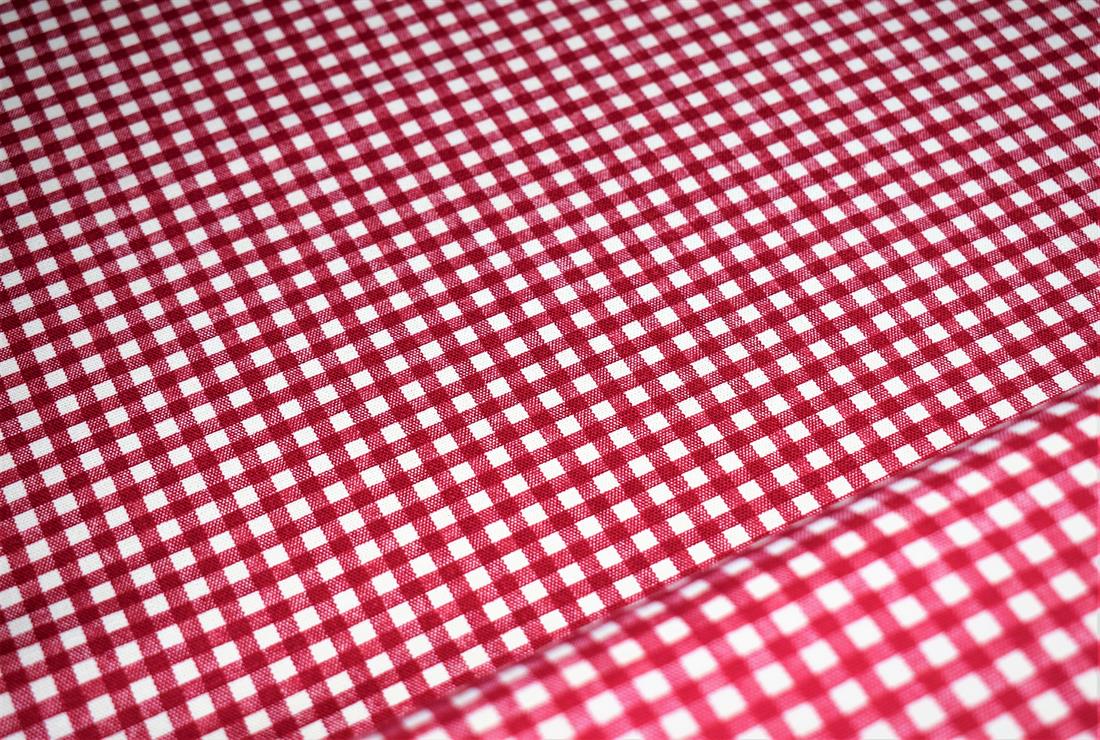 Red Gingham Print Canvas Fabric