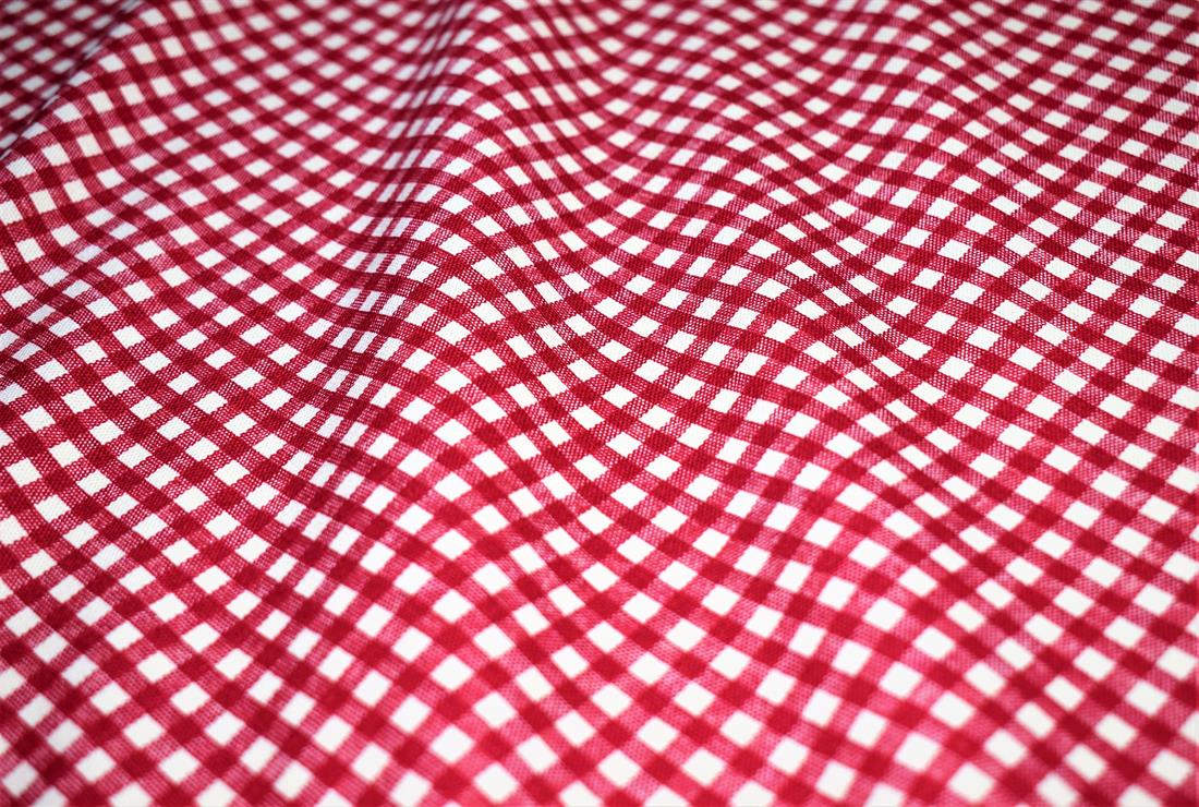 Red Gingham Print Canvas Fabric