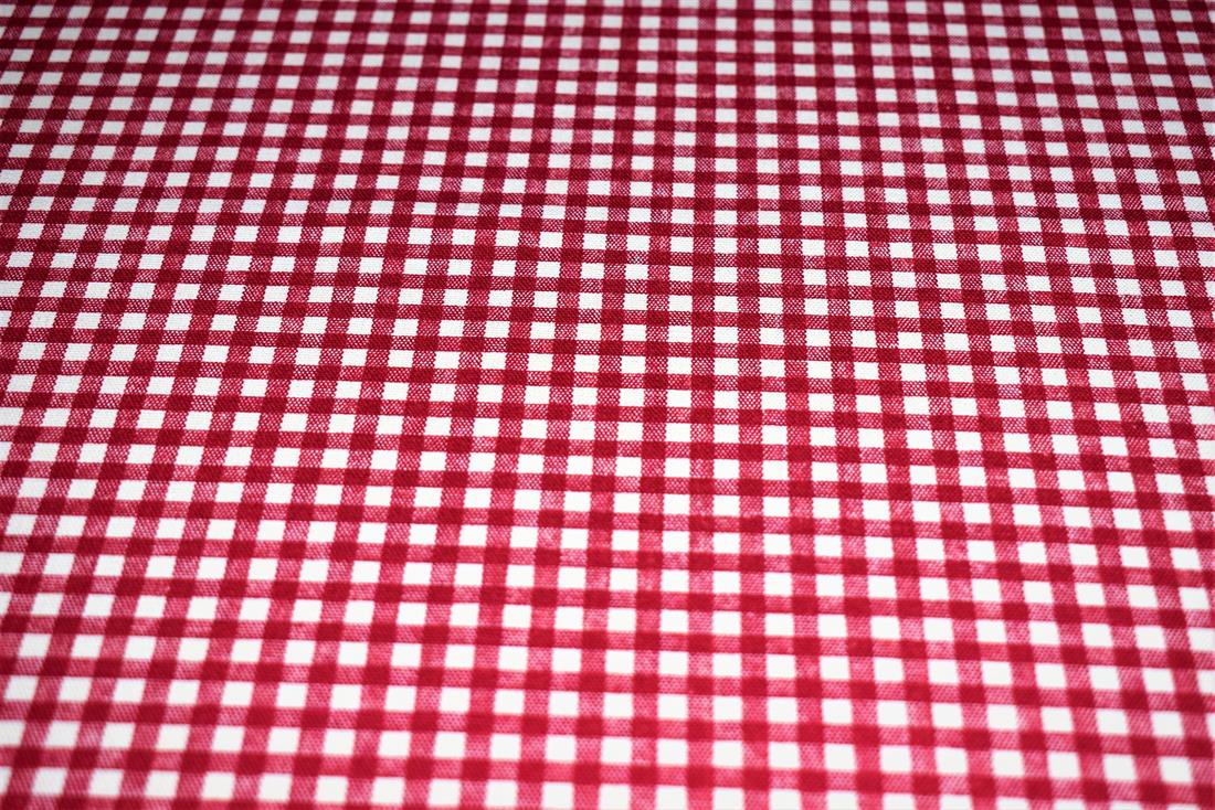 Red Gingham Print Canvas Fabric