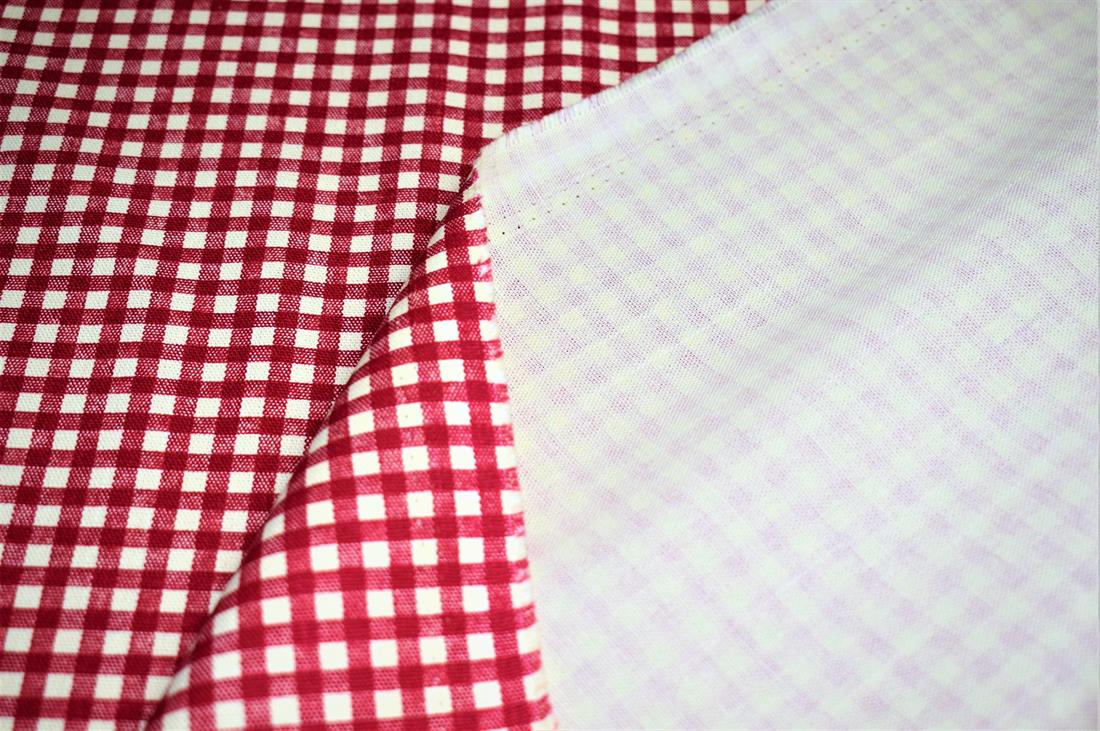 Red Gingham Print Canvas Fabric